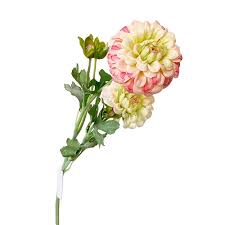 We did not find results for: Artificial Pink Calendula Flowers Bouquet With Stems Plastic Floral Chrysanthemum Arrangements Realistic Flower Bouquets Walmart Canada