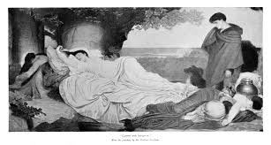 Image result for Iphigenia pauciflora