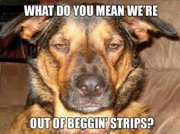 Some of the best memes out there are animal memes — if not for their weirdly hilarious behavior, then definitely for their irresistible cuteness. Laugh Out Loud With The Best Dog Memes Of 2021