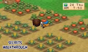 Harvest moon back to nature guide indonesia. Harvest Moon Back To Nature Walkthrough Fur Android Apk Herunterladen