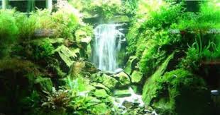 Underwater Waterfall Aquascape Aquarium Aquarium Fish Tank