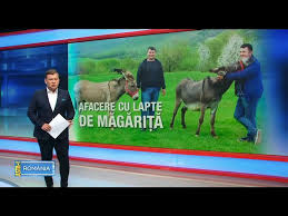 We did not find results for: Ferma Magaritelor Lapte Crud De Magarita Medicament Youtube