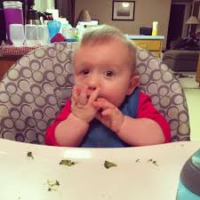 How is everyone keeping their babies from eating the tree?! 🤦‍♀️