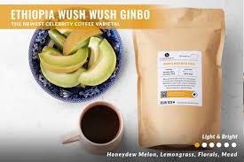 Dapper & Wise | Ethiopia Washed Wush Wush Ginbo | Bean Box®