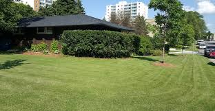 We are a dealer of: Lawn Aeration Services Winnipeg Mb 204 202 6939
