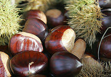 Candlenut, candleberry, indian walnut, varnish tree atau kukui nut tree), juga dikenali sebagai kemiri di indonesia, ialah salah satu spesies tumbuhan dalam famili euphorbiaceae. Kekeras Wikipedia Bahasa Melayu Ensiklopedia Bebas