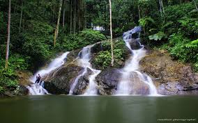 Hiking di hutan lipur bukit mertajam! Nak Tenangkan Fikiran 15 Tempat Menarik Di Gombak Sesuai Untuk Persinggahan Anda Ammboi