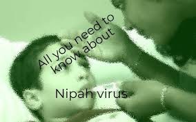 Nipah virüsü dünyada büyük paniğe neden oldu? Nipah Virus How To Avoid Infection And Fever