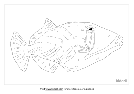 Beautiful pablo picasso coloring page. Picasso Triggerfish Coloring Pages Free Animals Coloring Pages Kidadl