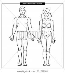 From wikimedia commons, the free media repository. Human Anatomy Vector Photo Free Trial Bigstock