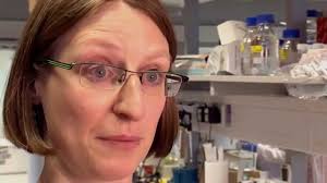 The Strasbourg Swamp