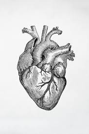 Key To Your Heart Drawing Body Drawing Heart Drawing Anatomy Art