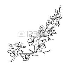 Esquisser Rameau De Fleurs De Sakura Illustration Vectorielle Fleur De Cerisier Illustration Vectorielle Fleur De Sakura