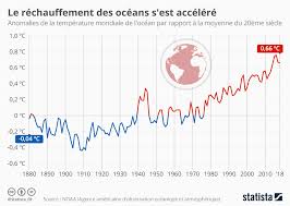 Le giec a tiré la sonnette d'alarme. Pourquoi Planter Des Arbres Aveuglement Ne Nous Sauvera Pas Du Crash Climatique