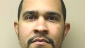 Business people briefs