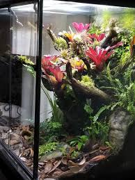 Pin On Spider Enclosures