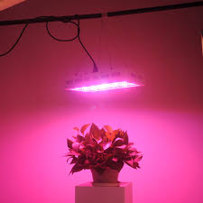 This phlizon 1200w led review covers all the essential features led grow light should have. 1200w Led Grow Light With Vegbloom Switch Greengo 3 Chips Led Plant Grow Lamp F Yard Garden Outdoor Living Home Garden