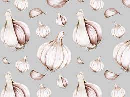 hand drawn watercolor of garlic how to draw hands free illustrations illustration