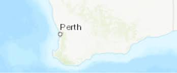 Image result for Buchnera pusilliflora