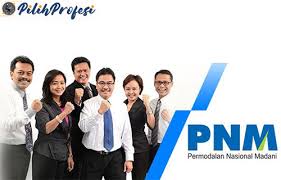 Pulau gili gresik merupakan salah satu o. Gaji Karyawan Pt Pnm Persero Terbaru 2021 Pilihprofesi