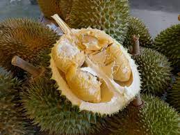 Saat musim durian seperti sekarang, buah ini dijual dengan harga murah. Senarai Lokasi Durian Viral Murah Viral Media Johor Facebook