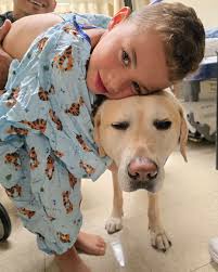 🚨🚑 Meet Vicky Ulloa-Saavedra—EMT supervisor at Northwell's Center for  Emergency Medical Services and star of Emergency NYC