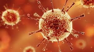 Live tracking of coronavirus cases, active cases, tests, recoveries, deaths, icu and hospitalisations in sa South Australia Plans Six Day Lockdown After Highly Contagious Covid Outbreak World News Zee News