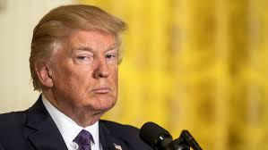 Image result for donald trump