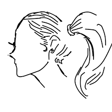 Note the bulge of the. How To Draw Ponytail Learn To Draw From Other Letsdrawit Players