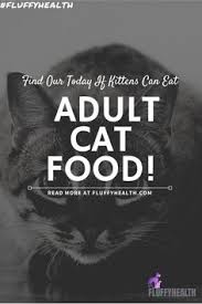 Reasons why not to feed sardines, even if not canned yes, i feed my cats canned unsalted sardines in water and they love them. 60 Can Cats Eat This Ideas Cat Help Cats Cat Food