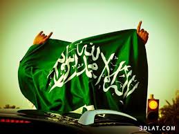 أنا أحب المملكة العربية السعودية Ksa National Day Flags Of The World Saudi Arabia Flag