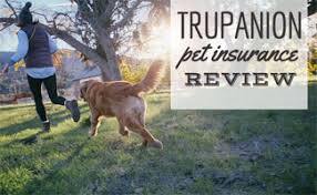How does trupanion pet insurance work? Trupanion Review What Makes This Pet Insurance Unique Caninejournal Com