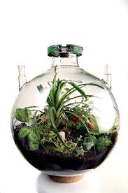 50 Liter Biodome By Machele On Etsy Nhật Ky Nghệ Thuật Nghệ Thuật
