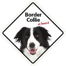 Check spelling or type a new query. Magnet Steel Border Collie An Bord Schild Mit Saugnapf
