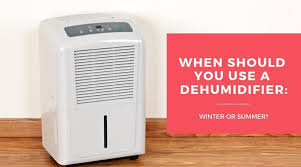 when to use a dehumidifier in winter or summer