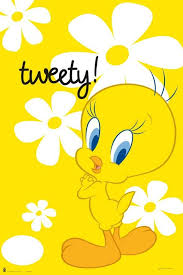 Download wallpaper & desktop background. Tweety Tweety Bird Drawing Tweety Looney Tunes Wallpaper