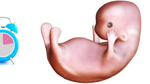 Subtitles in your language, öppnar annan webbplats. Gravid Vecka 6 10 Www Minbebis Com