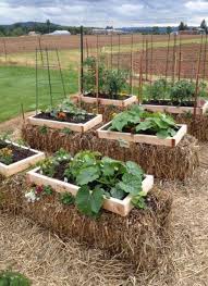 23 Ideen Gartenbetten Ideen Strohballen Gartenbetten Ideen Strohballen In 2020 Garten Hochbeet Gartenbett Garten Ideen Gemuse