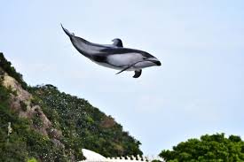 ルネッサンスリゾートオキナワ2020年改装後のクラブサビー特典等を調べてみた 子連れ 旅行 旅行 リゾート