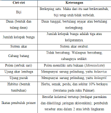 Bunga yang harus anda bayarkan akan menjadi sangat besar apabila anda tidak sanggup membayar cicilannya. Contoh Tanaman Monokotil Pengertian Ciri Umum Ekologis