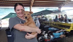 Once enrolled, your payments will be automatically processed. Aspca Winds Up St Croix Effort After Helping Almost 22 000 Animals St Thomas Source