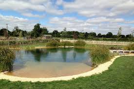 Natural Swimming Pond Designs From Gartenart Natural Swimming Ponds Swimming Pond Natural Swimming Pools