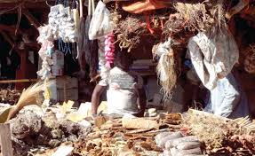 Izihloko ezihlobene okuningi okuvela kumbhali. Imboni Yamakhambi Esintu Ingasimamisa Umnotho Bayede News