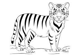 Gambar animasi harimau hitam putih paling baru download now gambar. Harimau Hitam Putih