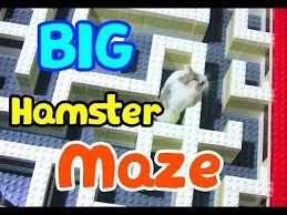 Hamholic Building Big Lego Hamster Maze Big Lego Hamster Lego