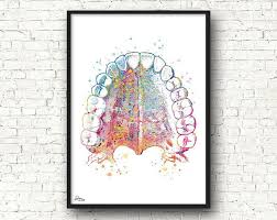 Dentist Gift Tooth Art Medical Art Clinical Decoration Dental Practice Gum Tooth Schema Tooth Watercolor Human Body 325 Medical Art Dental Art Teeth Art