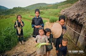 Hmong is a dialect spoken by the hmong people of vietnam. Hmong S Ancient Lifestyle A Remote Homestay In Vietnam
