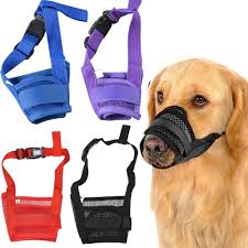 Indirim Ayarlanabilir Mesh Kopek Namlu Bakim Naylon Maske Agiz Namlu Dlya Sobak Kapali Anti Durdur Bark Bite Chew Pet Egitim Aksesuarlari Discounts Alisverisucuz Co