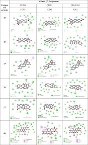 Image result for Caloncoba crepiniana
