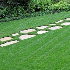 Overseeding A Key To Beautiful Lawns Lawn And Landscape Types Of Grass Overseeding Lawn